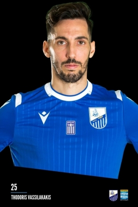 ΘΟΔΩΡΗΣ ΒΑΣΙΛΑΚΑΚΗΣ